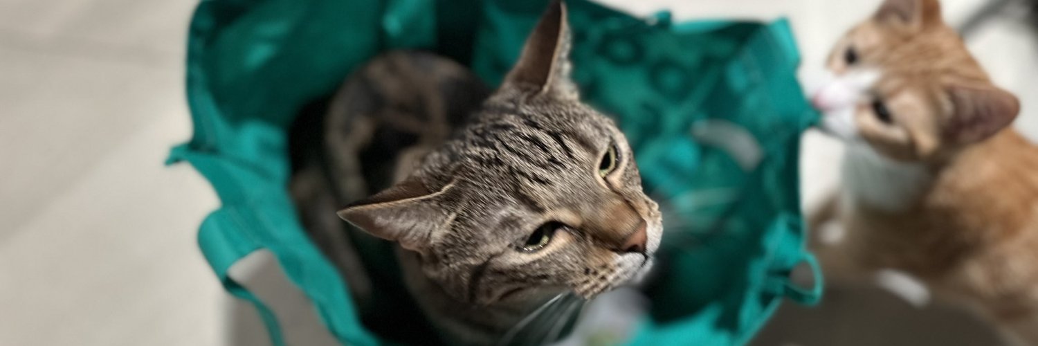 Katte's banner