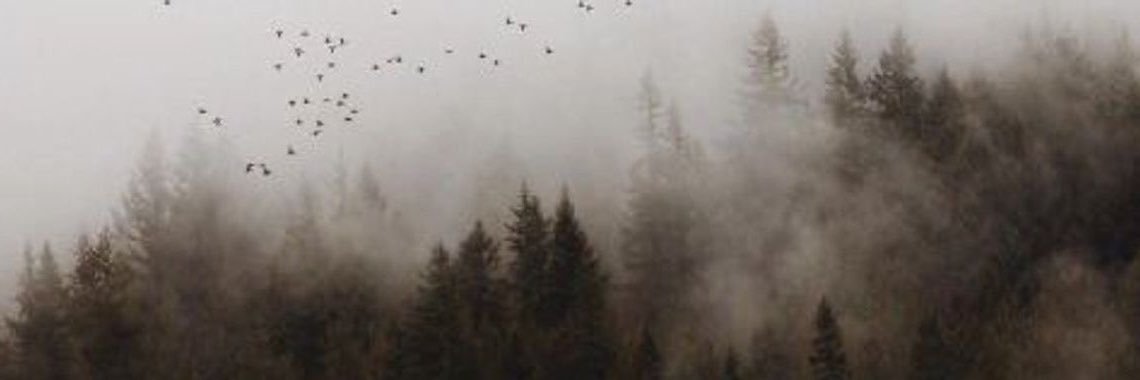 day ྀི's banner