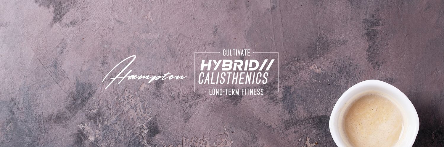 Hybrid Calisthenics's banner