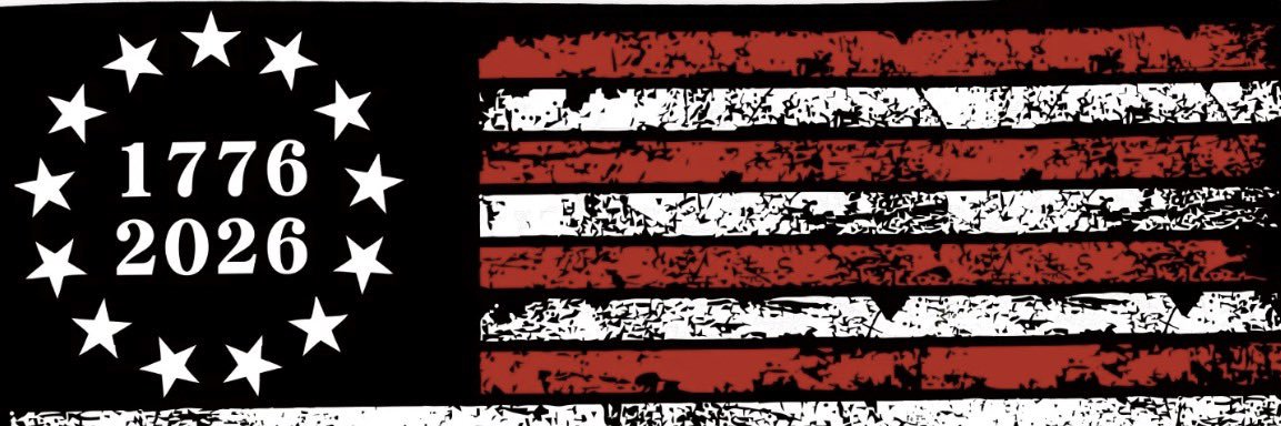 Sue N 🇺🇸🙌🏼's banner