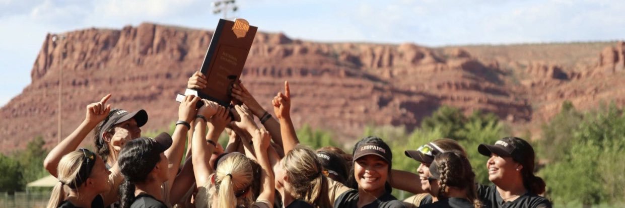 Temple College Softball's banner
