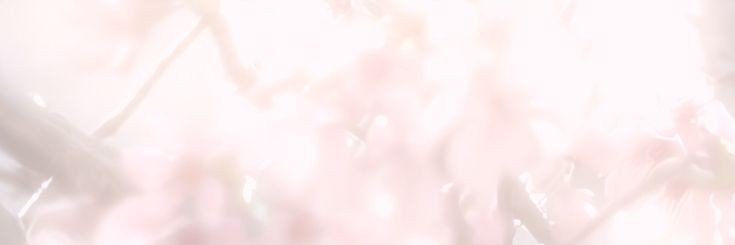 ar.'s banner