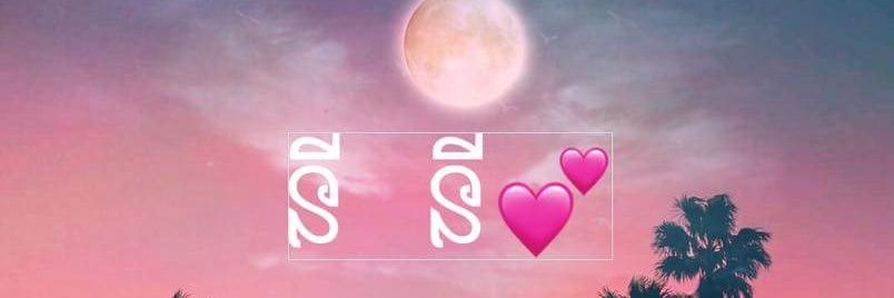 Sunny's banner