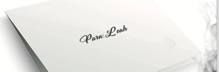 🪩's banner