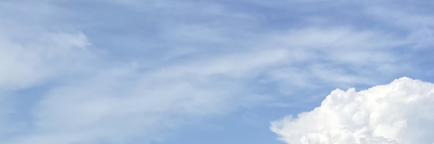 İhsan Kartoğlu's banner