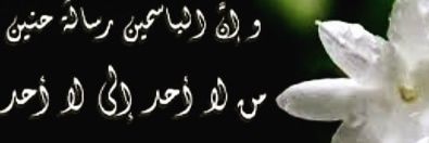 Yasmin Nabil's banner