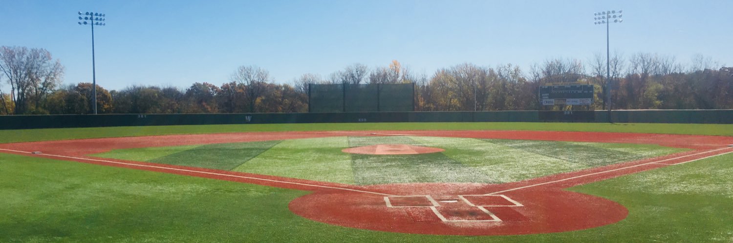Missouri Western Baseball's banner