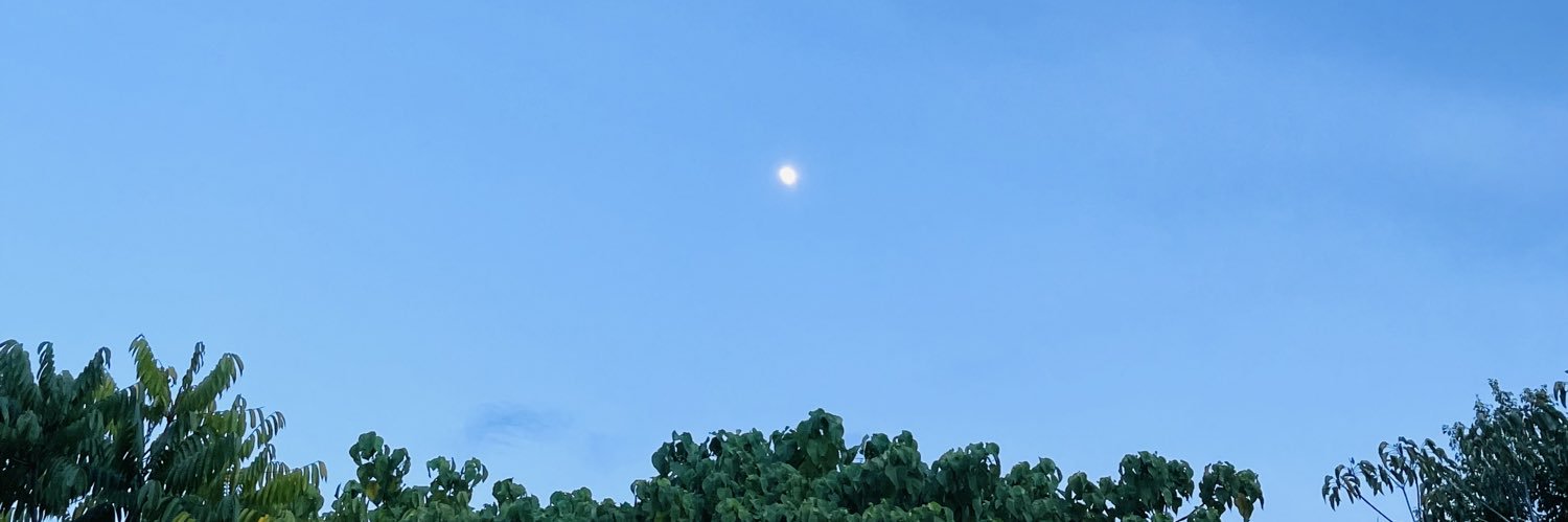 Doricel Rosas's banner