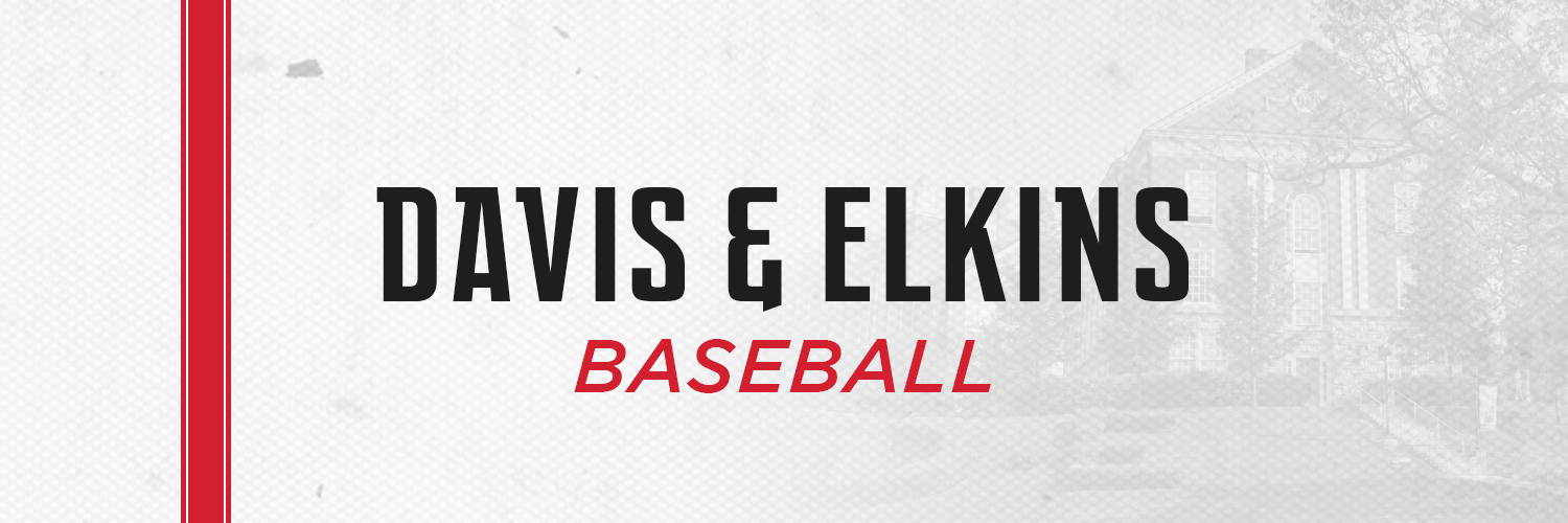 Davis & Elkins Baseball's banner