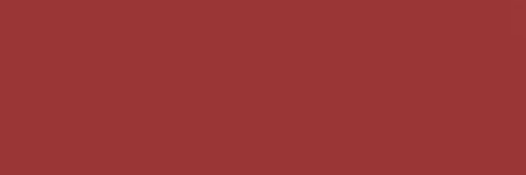 G1 - Anitta ⭐️'s banner