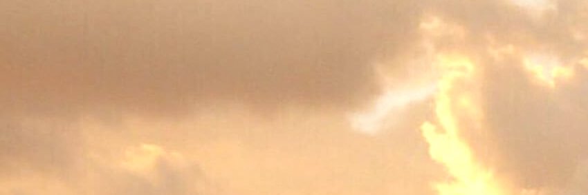 ➡️ BIGLIONPAWS.bsky.social ⬅️'s banner