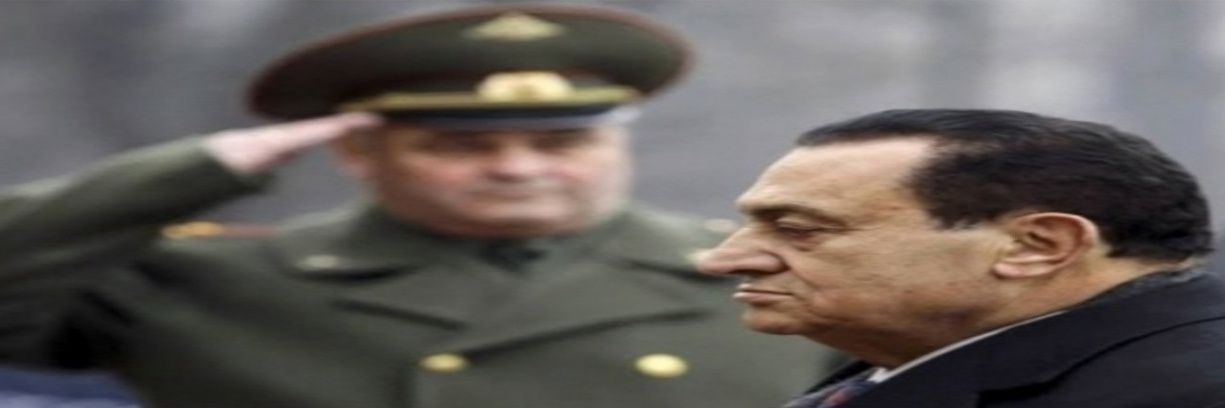 عاطف حمد's banner