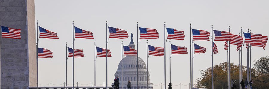 Federalist Redux's banner