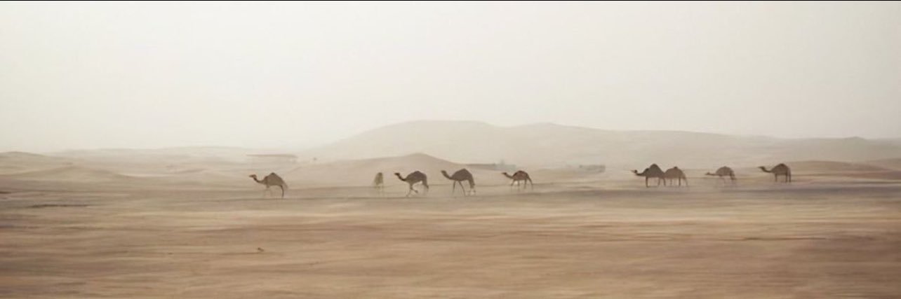 دمــث's banner