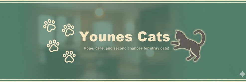 I feed stray cats every day's banner
