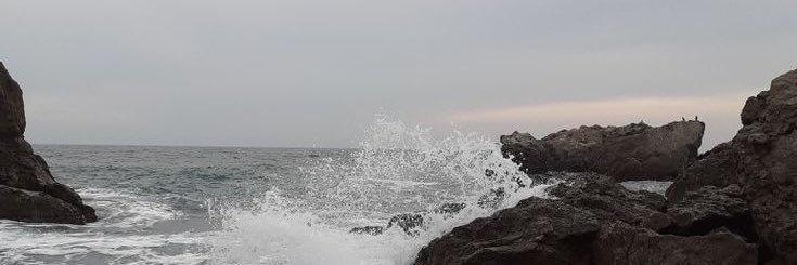 gabby ✯'s banner