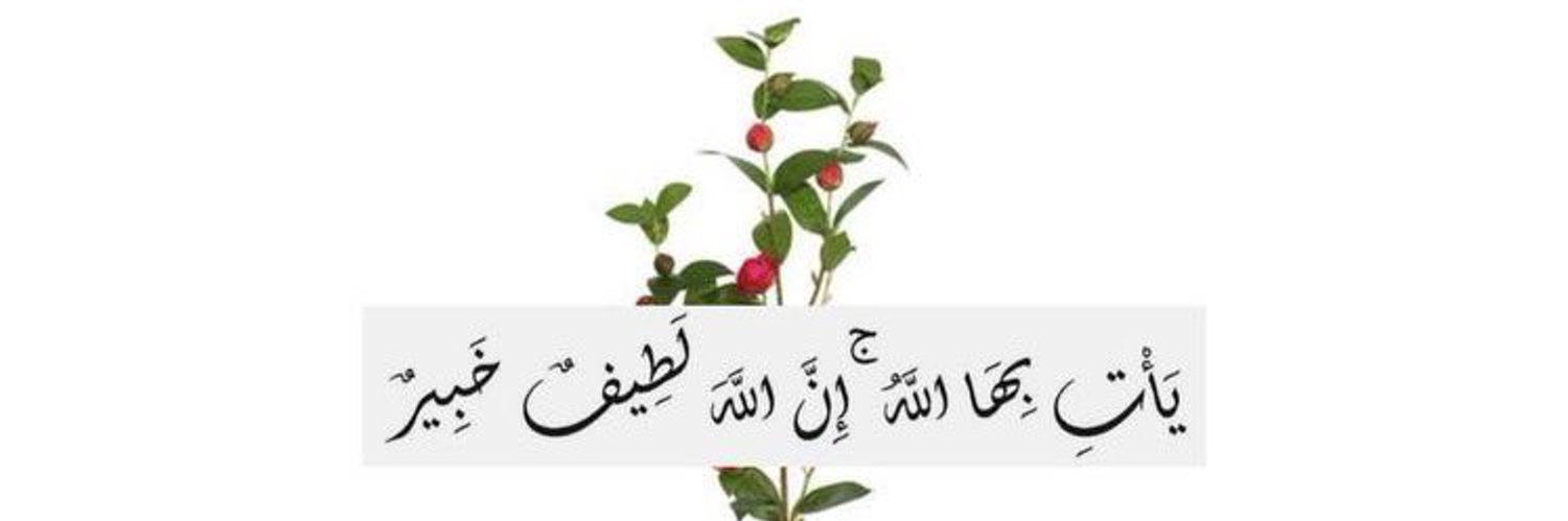 Reham Elbamby (بنت البمبي) 🌸🦋's banner