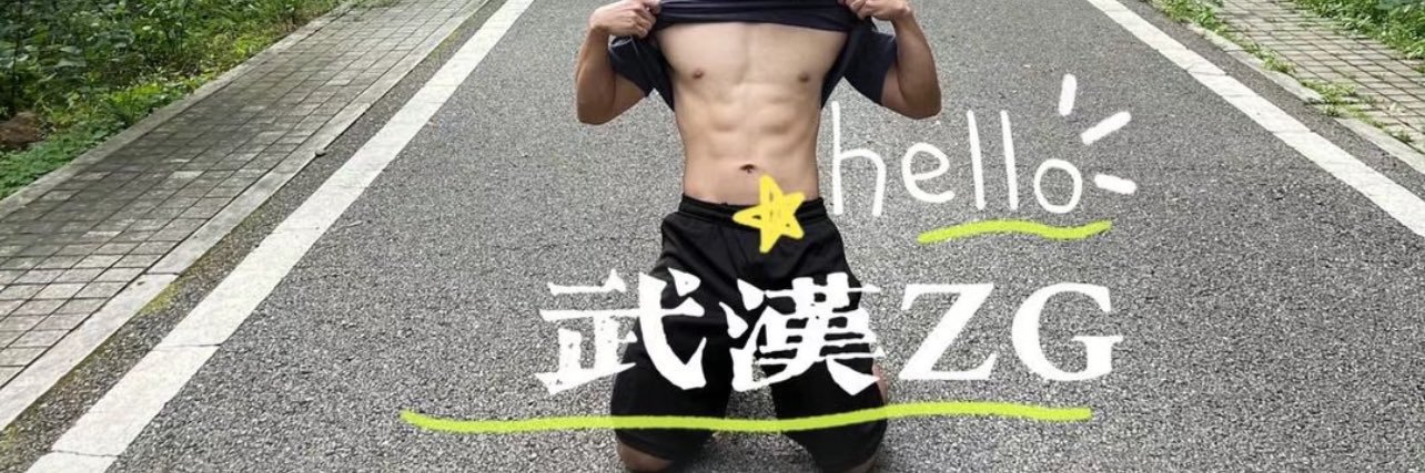 武汉ZG's banner