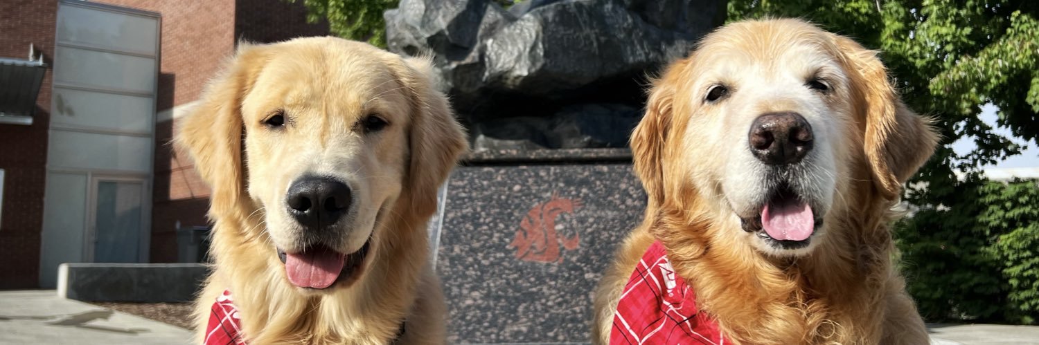 Dash & Chase 🐾's banner