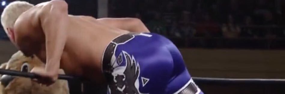 Prince Rhodes. ||. Not @CodyRhodes's banner