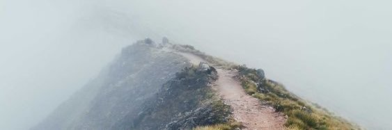 エボサイ（EvoPsy）'s banner