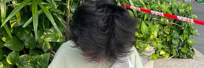 𝟦 𝐹 𝐼 𝐹's banner