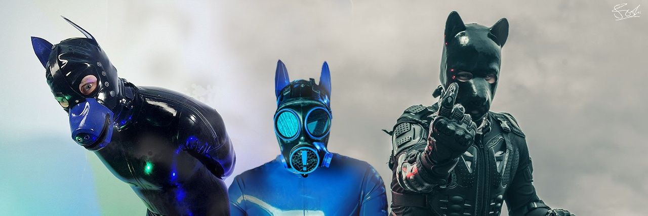 Dog Stricken's banner