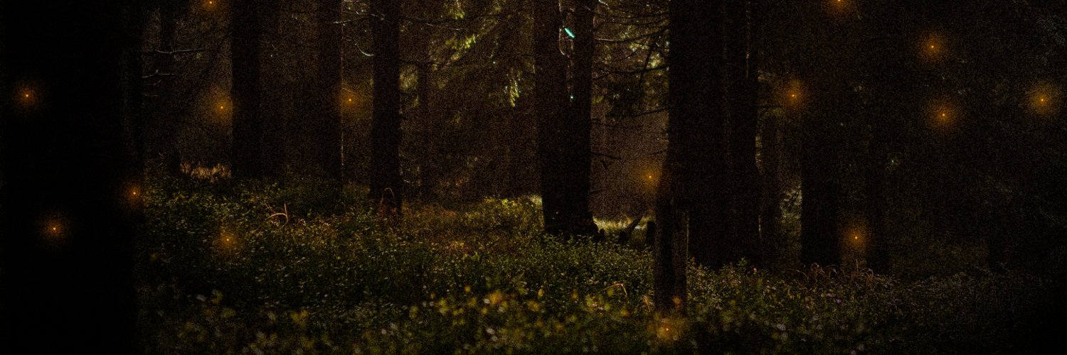 rob 🌿's banner