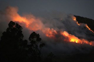Incendios galicia's banner