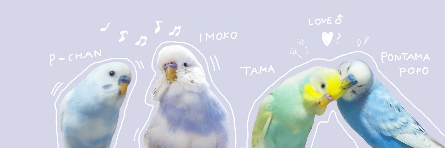 のっさん's banner