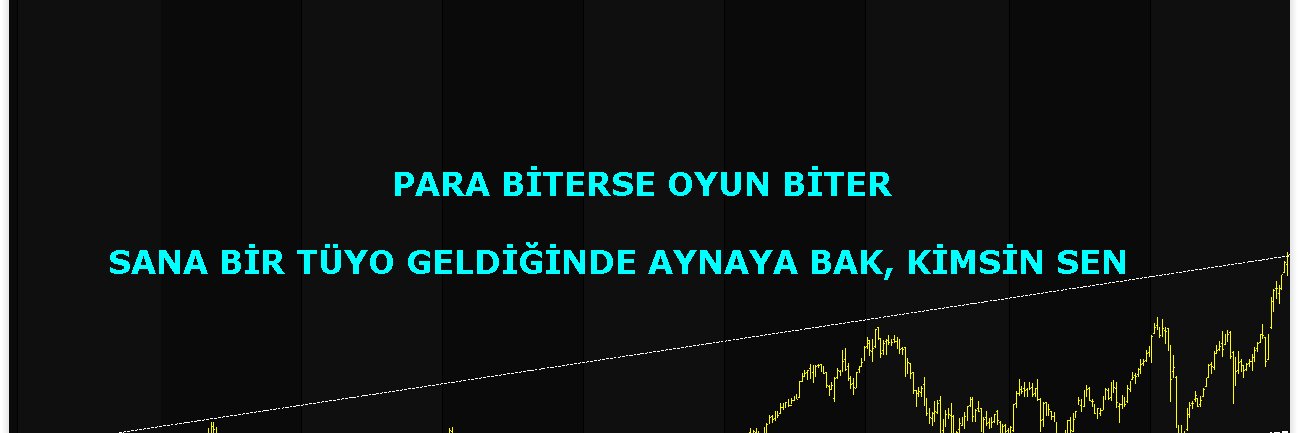 ahmstZR's banner
