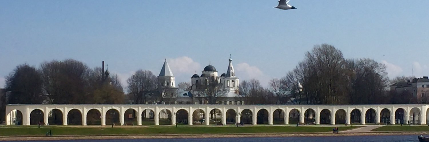 Светлана's banner