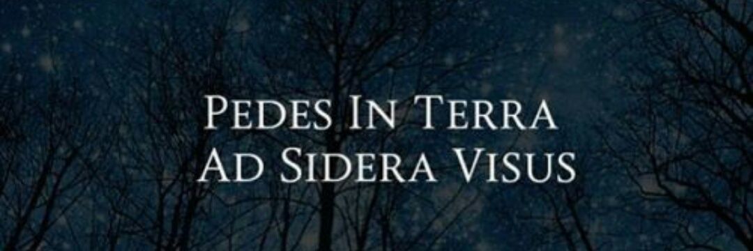🦋𝔸𝕟𝕕𝕣𝕖𝕒 ℝ𝕖𝕡𝕚𝕤𝕠🦋's banner