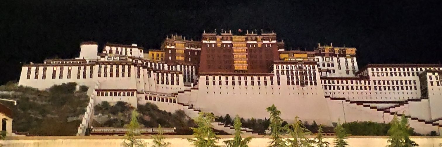 自由世界's banner