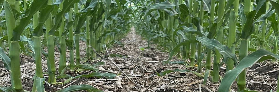Kevin's banner