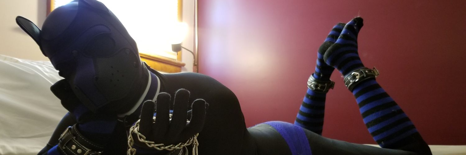 Fang The Tiger and EZ The Zentai Pup's banner