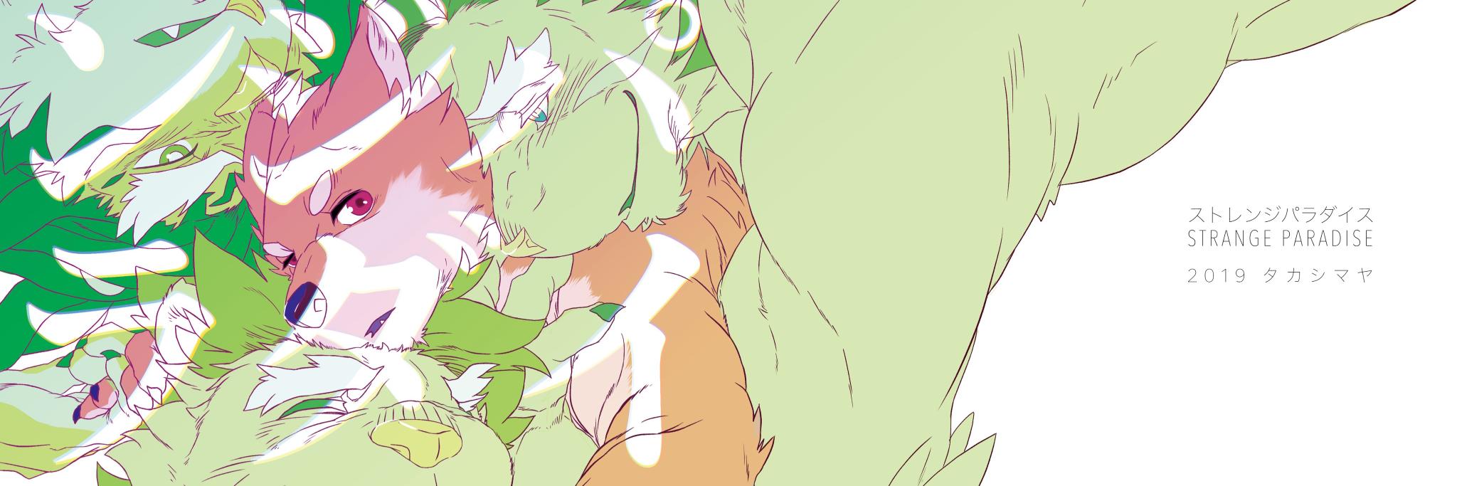 タカシマアキラ🐻's banner
