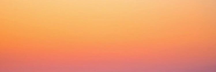 Sophia Diamond TikTok's banner