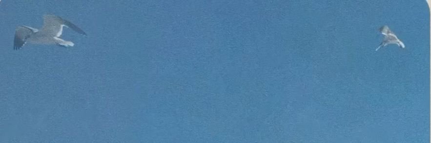 Bia✨'s banner