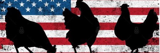 🇺🇸Hippie Heather's banner