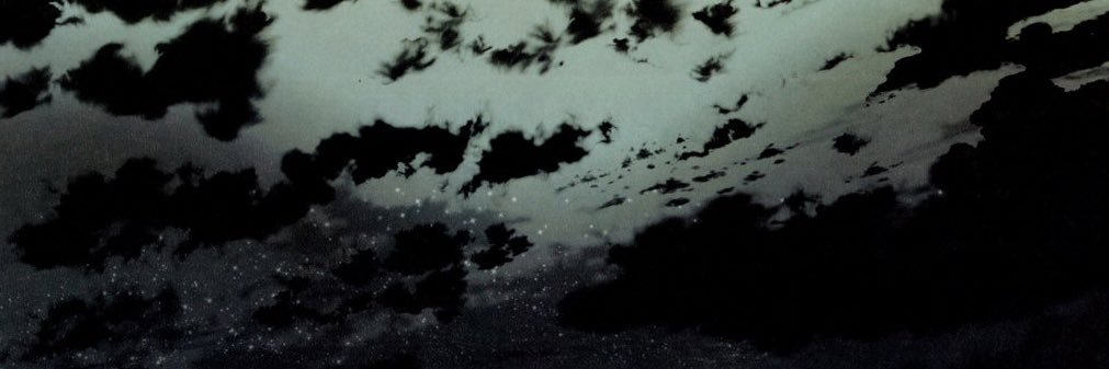 Seikoho's banner