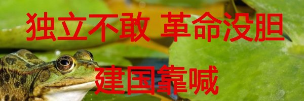 徐芳麗's banner