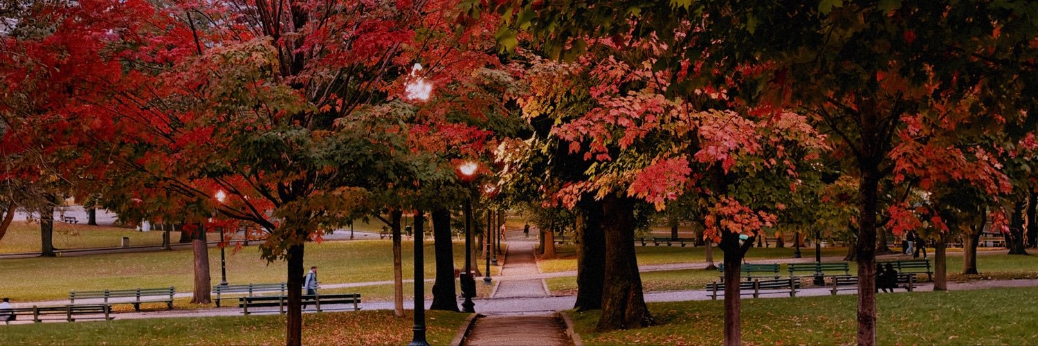 Dylan's banner
