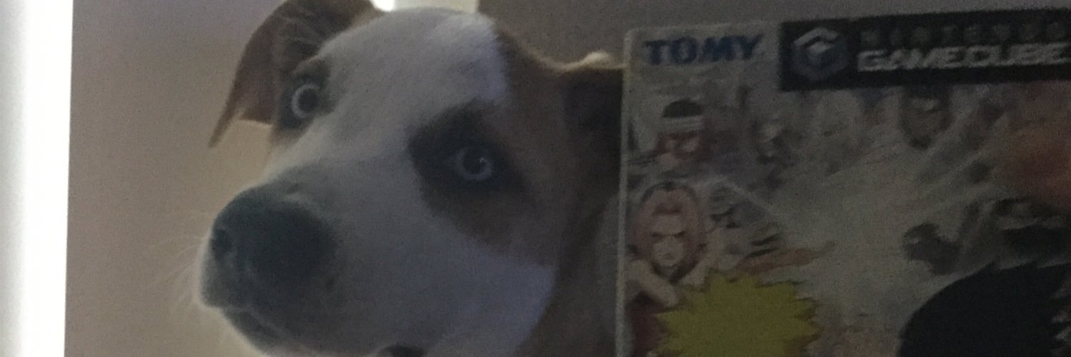 Hippo's banner