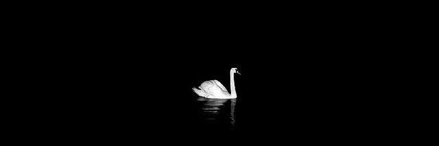 Dija🦢's banner