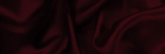 valeria's banner