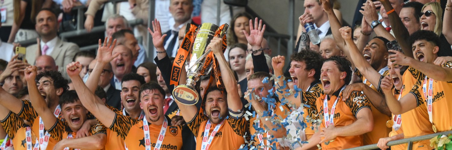 Hull City's banner