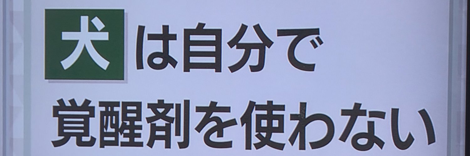 ゴム犬🥭犬装家's banner