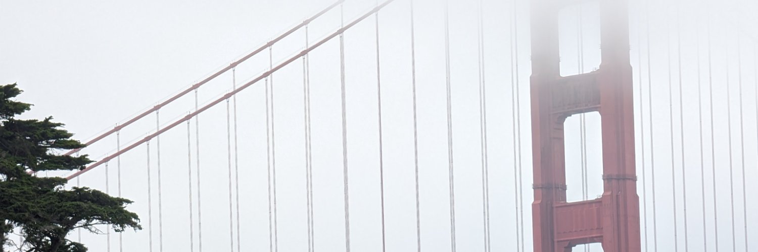 Nicolas Lellouche's banner