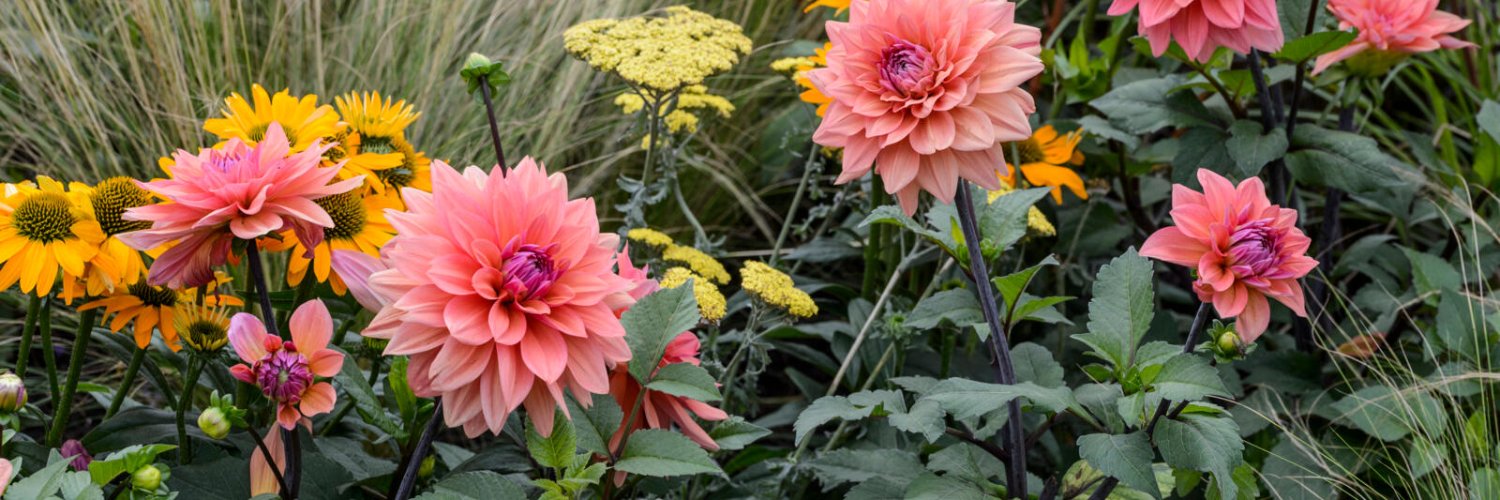BBC Gardeners' World Mag's banner